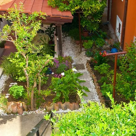 Apartment Nadia Mali Losinj