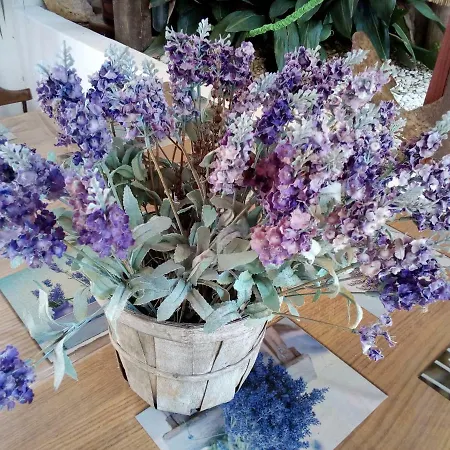 Nadia * Mali Lošinj