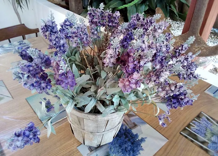 Nadia * مالي لوشينغْ